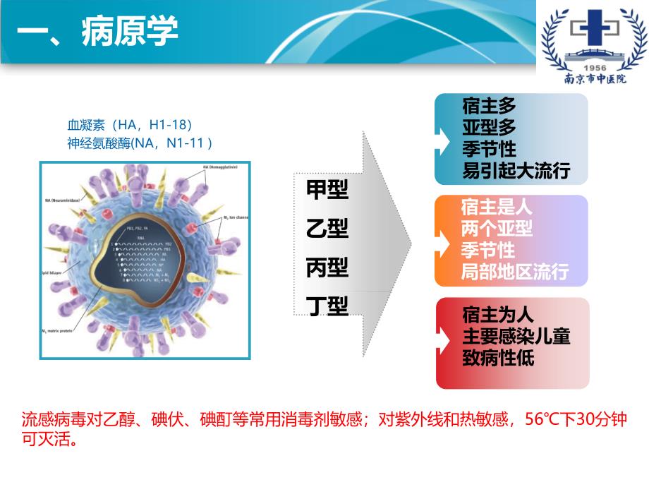 2018版流感指南ppt课件_第3页