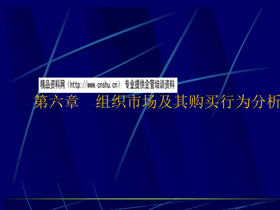 试谈组织市场及其购买行为分析(共19页)_第1页