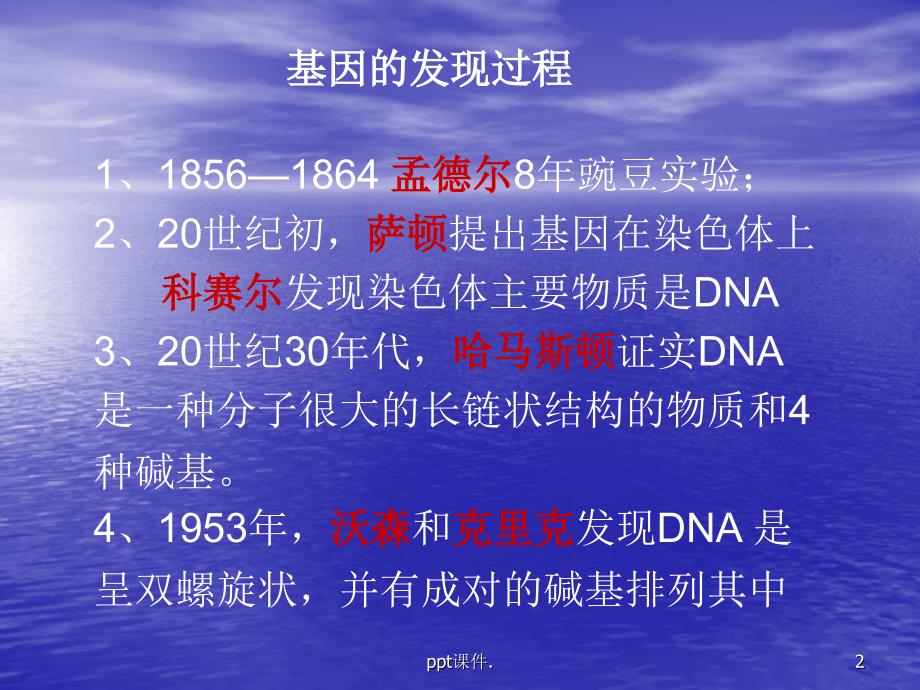 基因DNA染色体的关系ppt课件_第2页