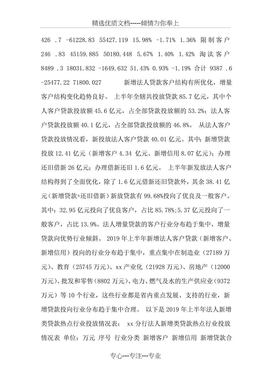 中国XX银行XX省分行2019年上半年信贷业务经营情况分析报告(共17页)_第5页