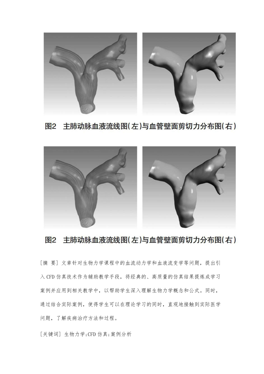 CFD仿真在生物力学课程教学中的应用探索_第2页