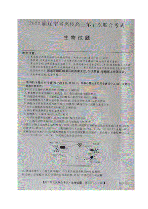 辽宁省名校2021-2022学年高三上学期第五次联合考试生物试题