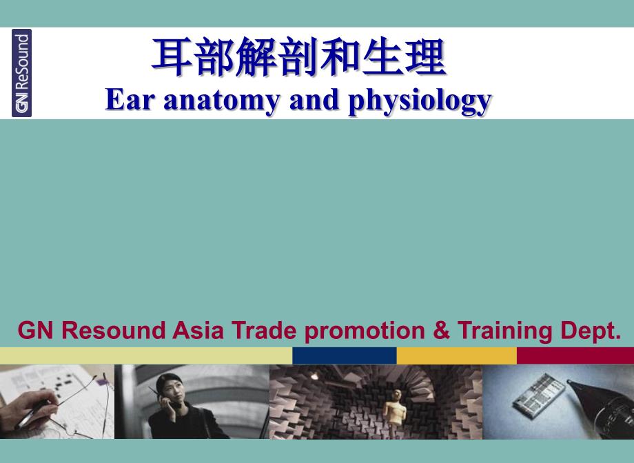 耳部解剖生理讲课教案_第1页
