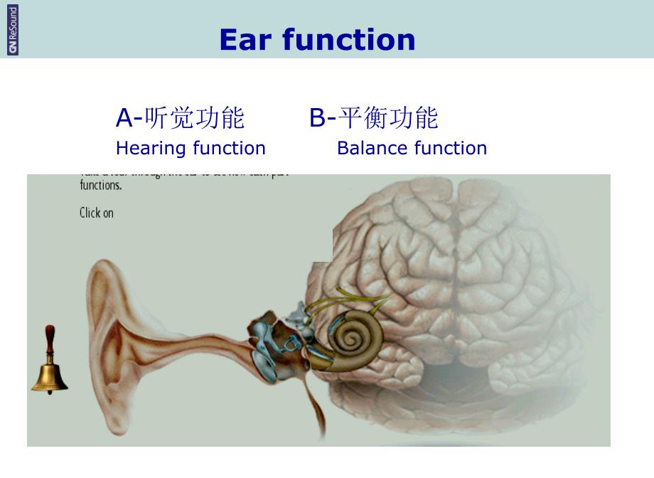 耳部解剖生理讲课教案_第2页