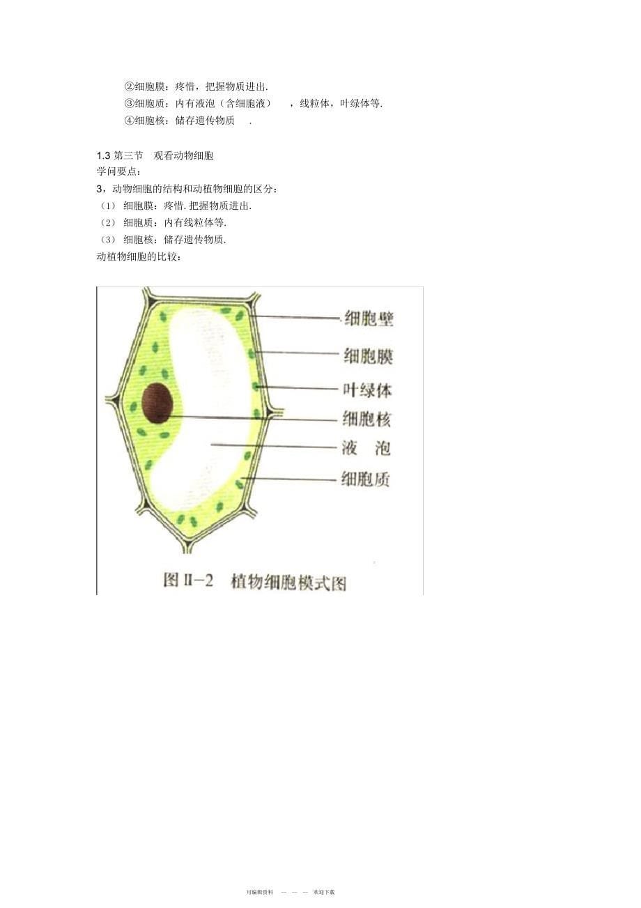 2022年人教版生物七年级上册知识点_第5页