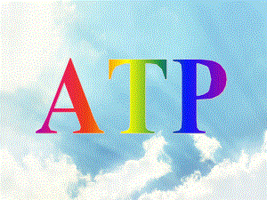 酶与atpPPT精品课件