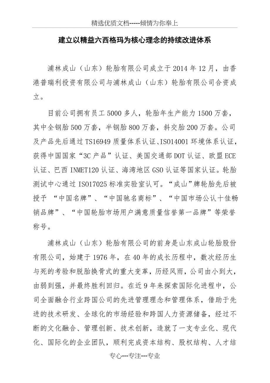 以精益六西格玛为核心理念的精细化管理模式(共17页)_第1页