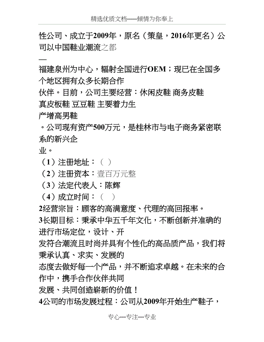 电子商务男鞋商业计划书(共21页)_第3页