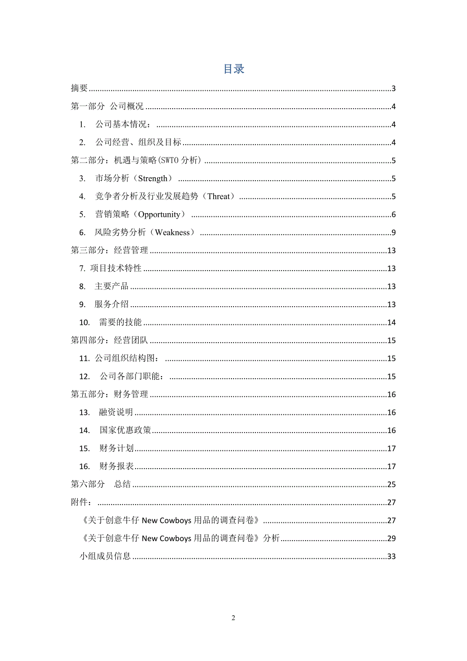 NewCowboys创业计划书_第2页