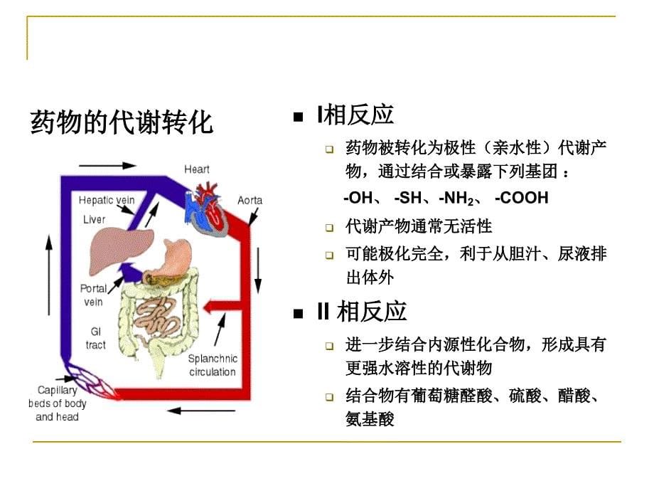 肝脏异常者如何合理用药PPT课件03_第5页