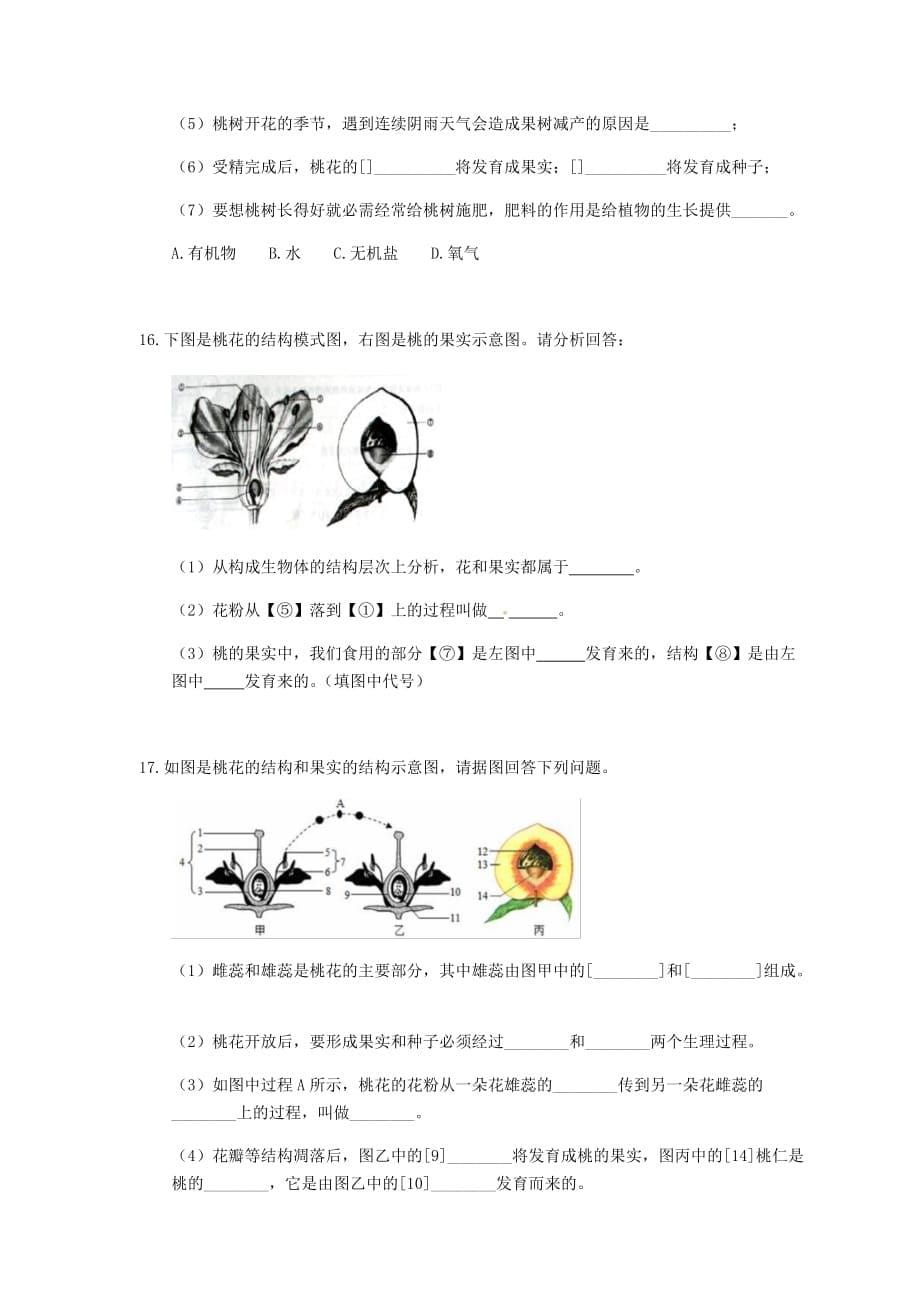 人教版生物七年级上册3.2.3《开花和结果》同步练习(含答案)_第5页