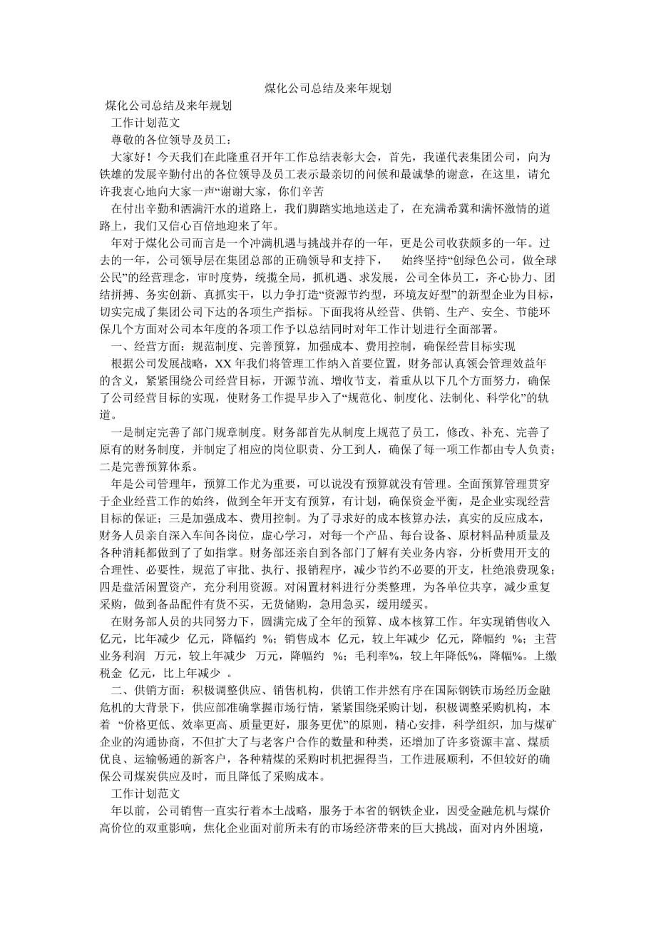 《煤化公司总结及来年规划》_第1页