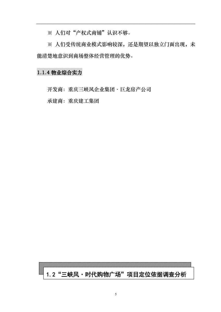 [精选]三峡风-时代广场项目策划方案_第5页