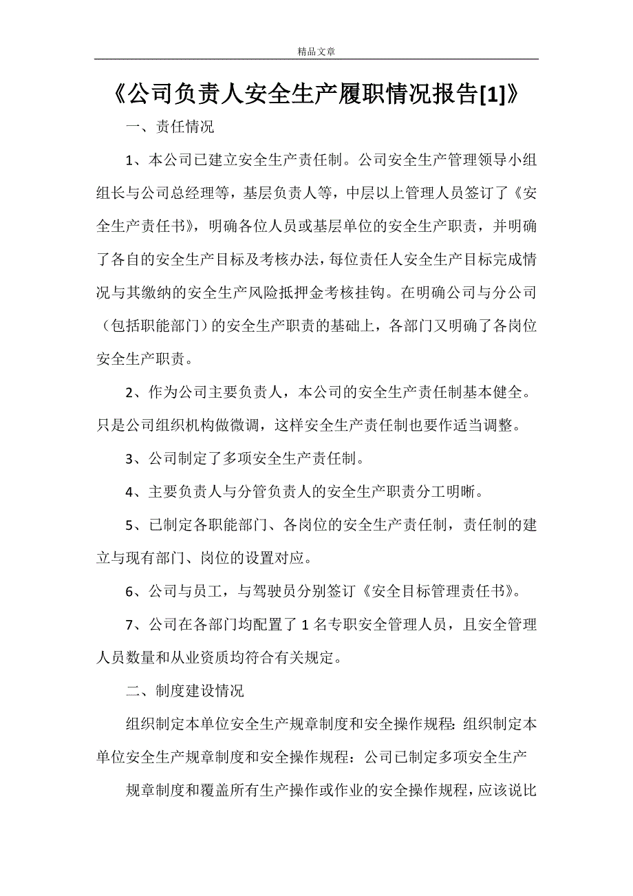 《公司负责人安全生产履职情况报告[1]》_第1页