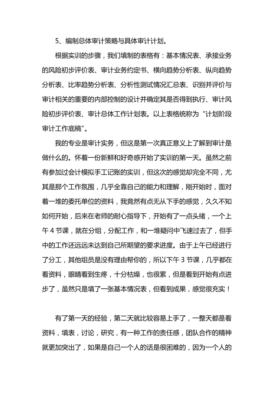 《审计实习报告总结》_第3页