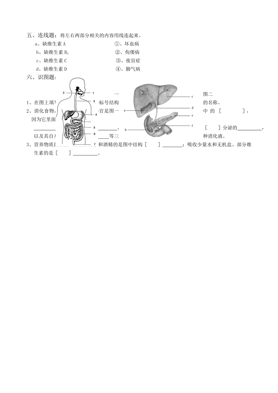 推荐）北师大版本七年级下北师大生物全套试题_第3页