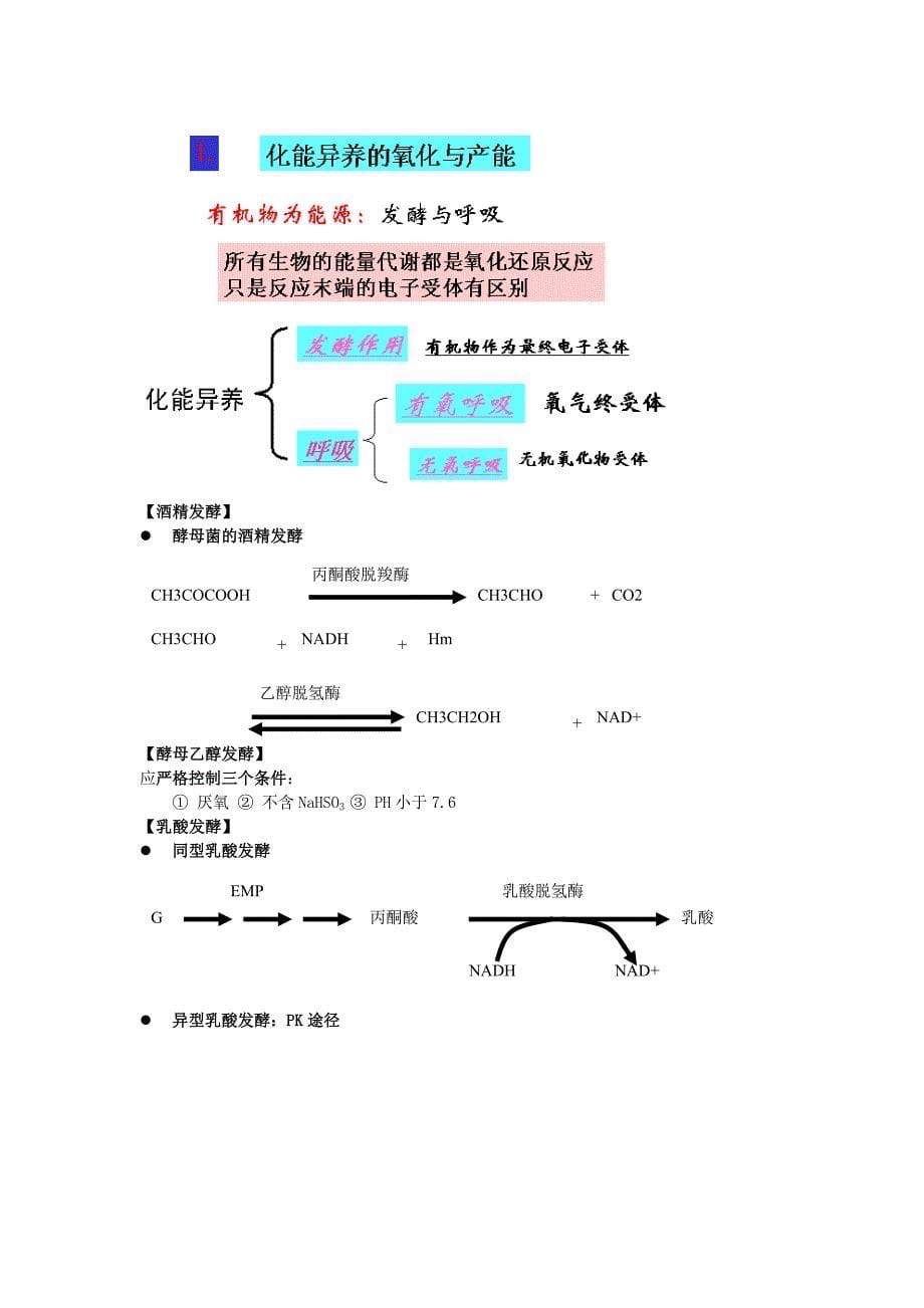 推荐）食品微生物学课程期末总结_第5页