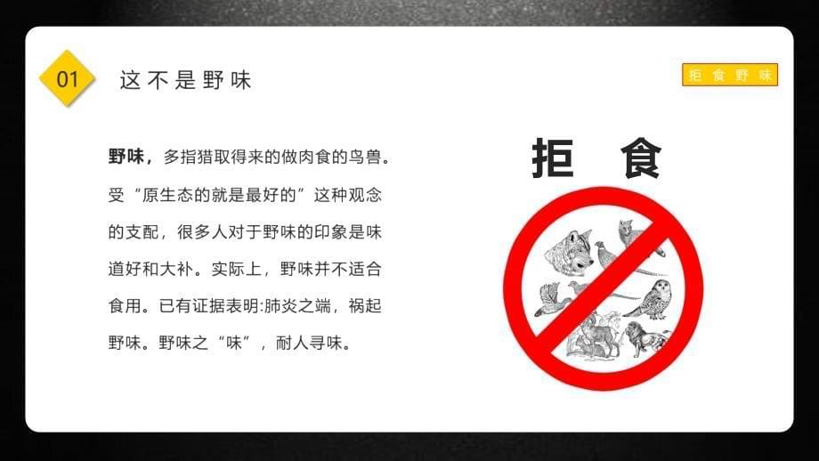 简约风保护野生动物拒绝野味主题班会PPT模板课件_第5页