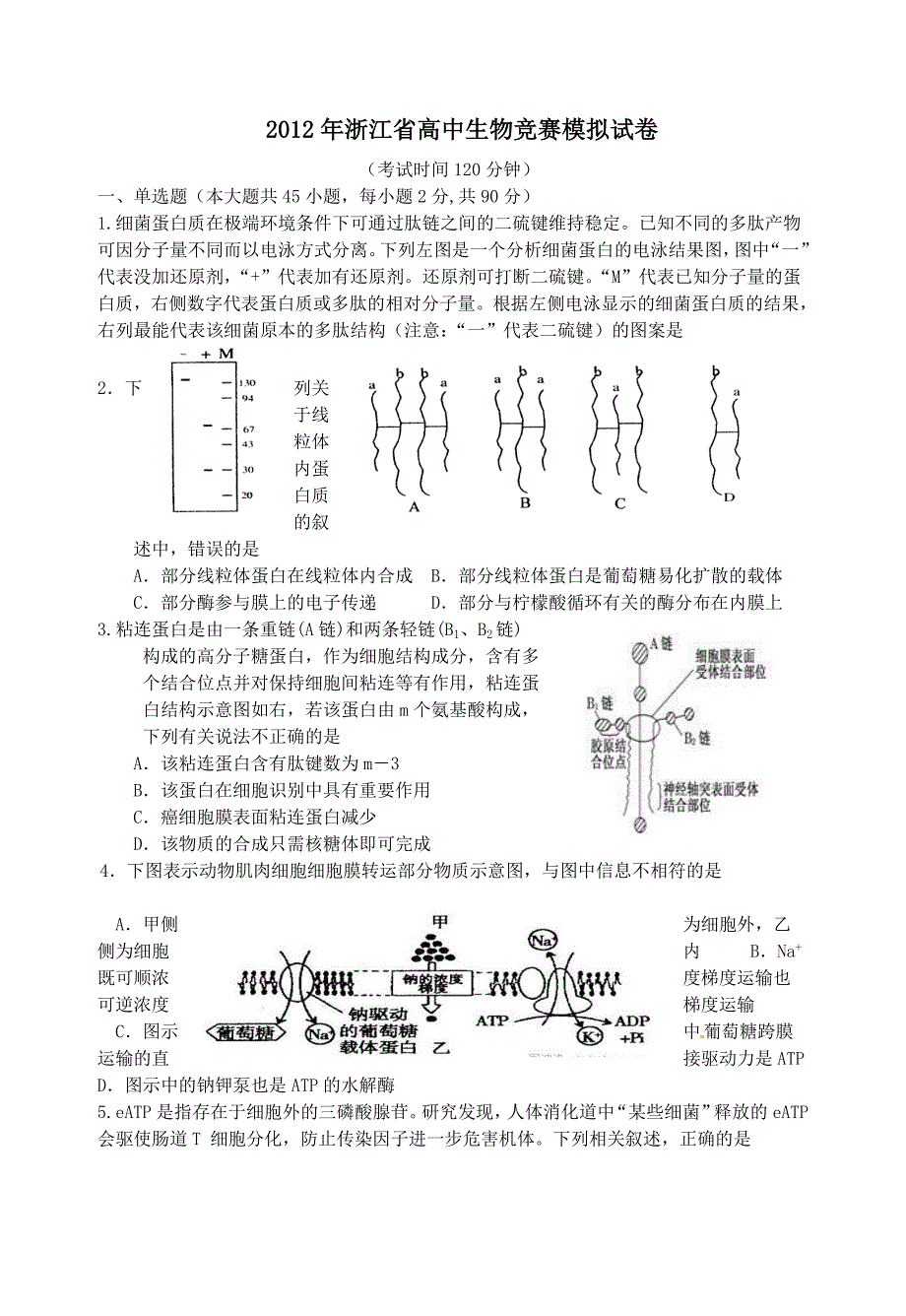 推荐）《生物竞赛模拟试卷》word版_第1页