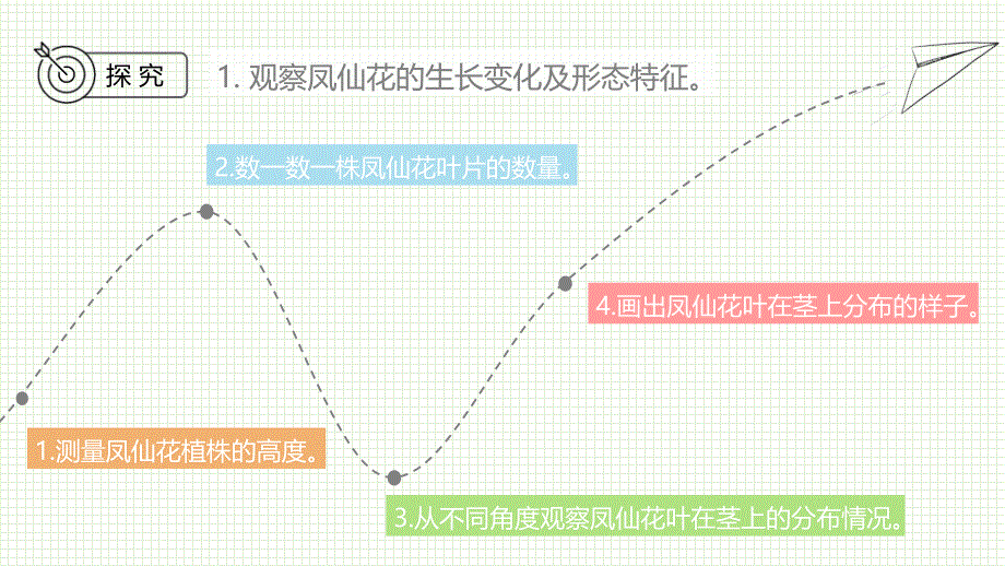 教科版科学四年级下册《1.4茎和叶》课件_第4页