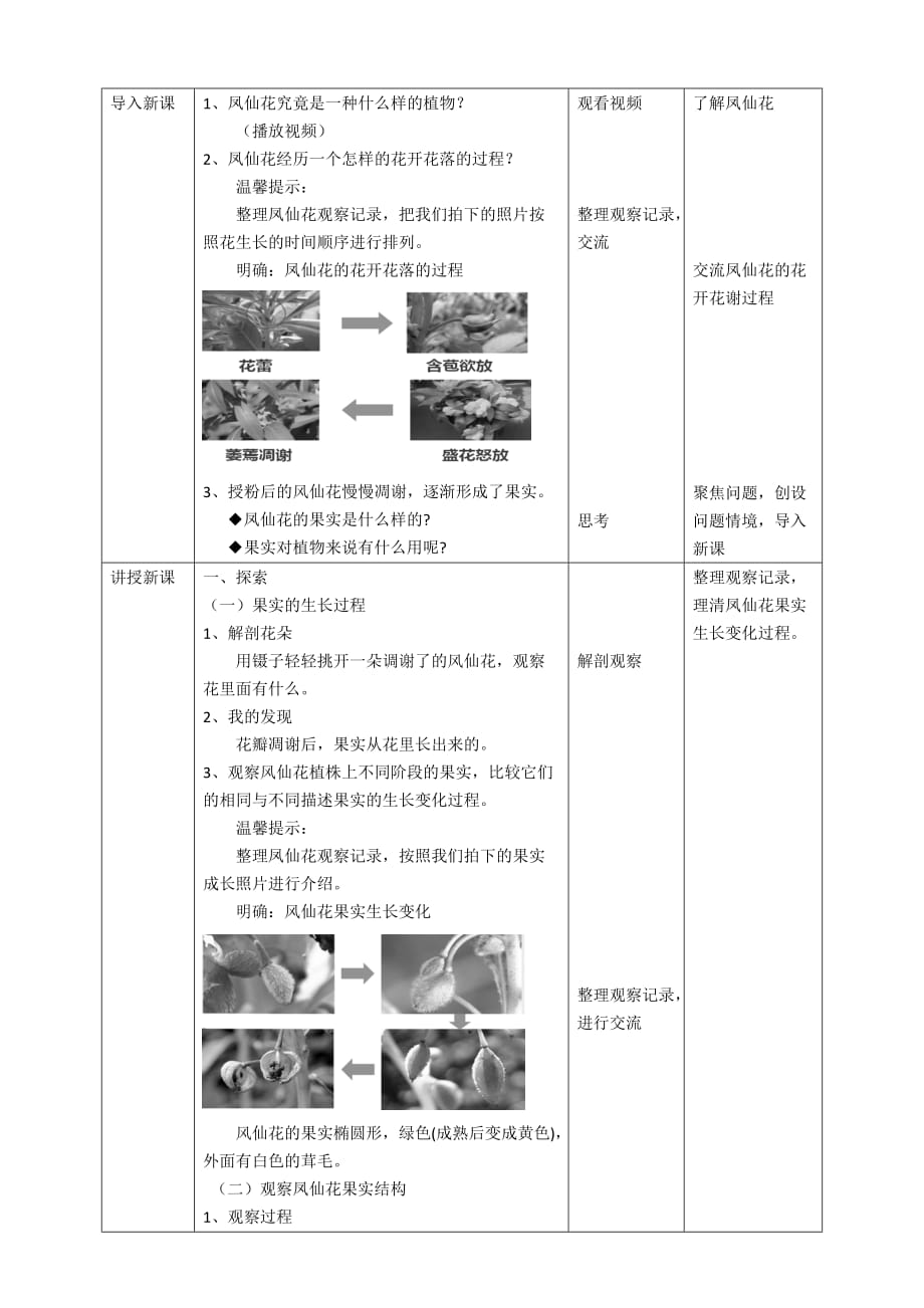 新教科版四年级科学下册1.6《果实和种子》教案_第2页