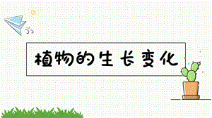 教科版科学四年级下册《1.1种子里孕育着新生命》课件