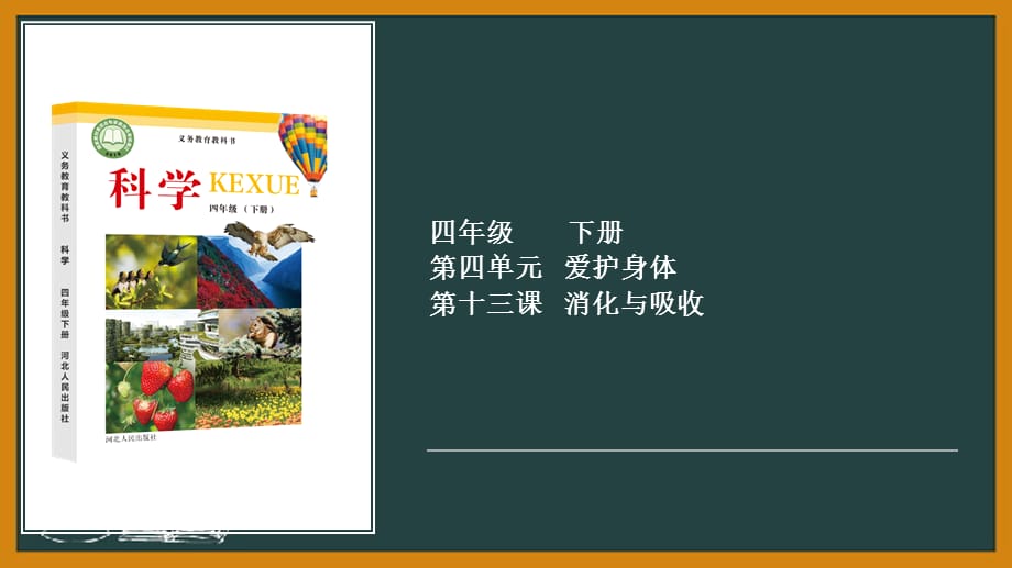 2021年春新冀人版四下第4单元第13课-消化与吸收 教学课件_第1页