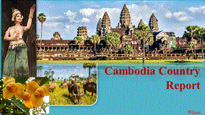 柬埔寨国家情况报告英文版Cambodia country report（Situation introduction）