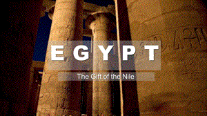 埃及国家情况报告英文版Egypt Country Report （Situation introduction）