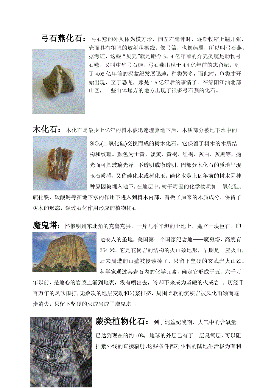 教科版四年级科学下册第三单元《岩石与土壤》教案含作业设计_第4页