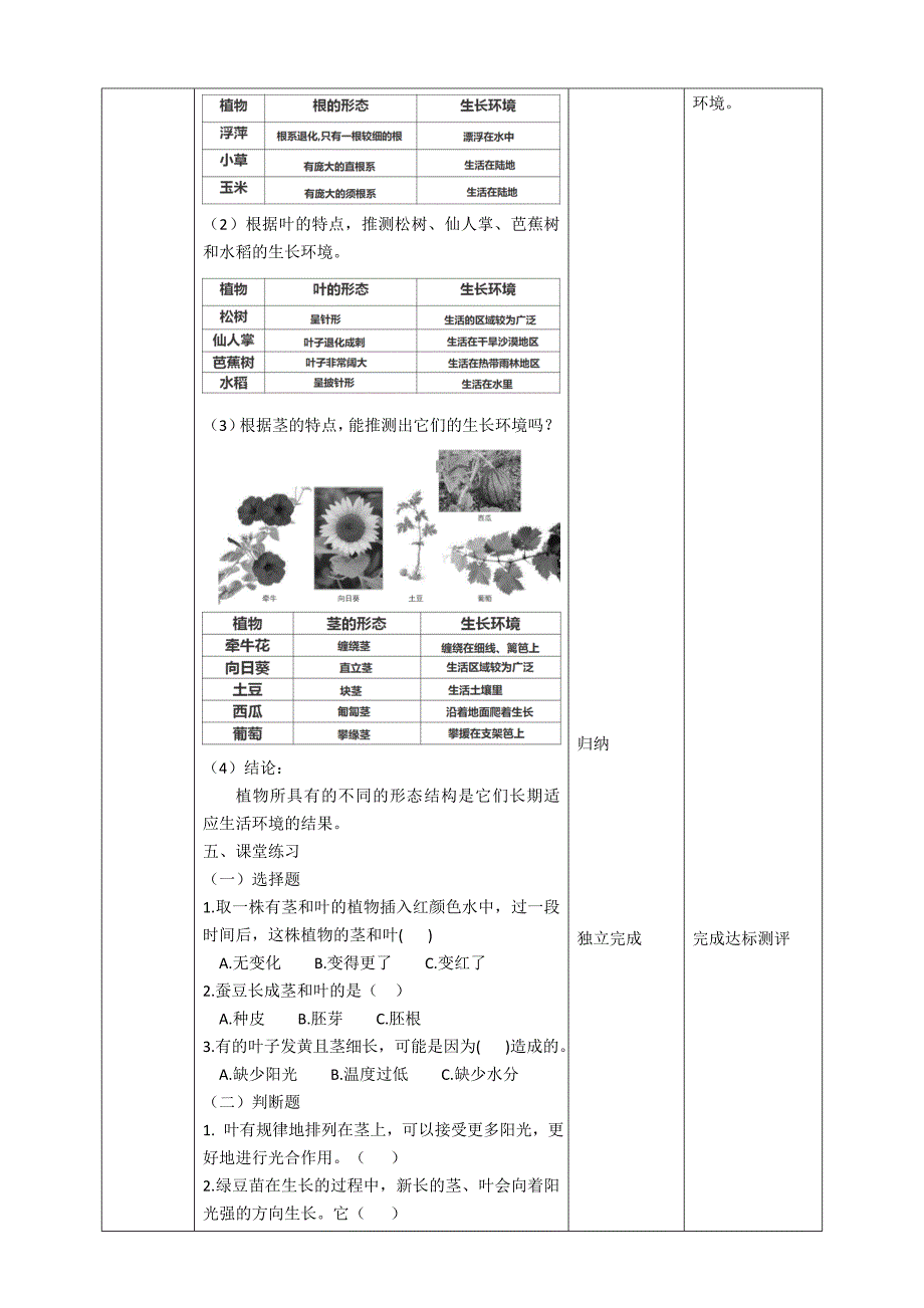 新教科版四年级科学下册1.4《茎和叶》教案_第4页