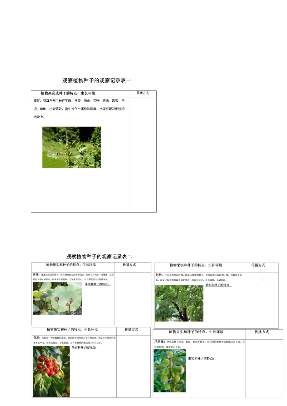 教科版四年级科学下册1-7《种子的传播》教案含作业设计_第4页