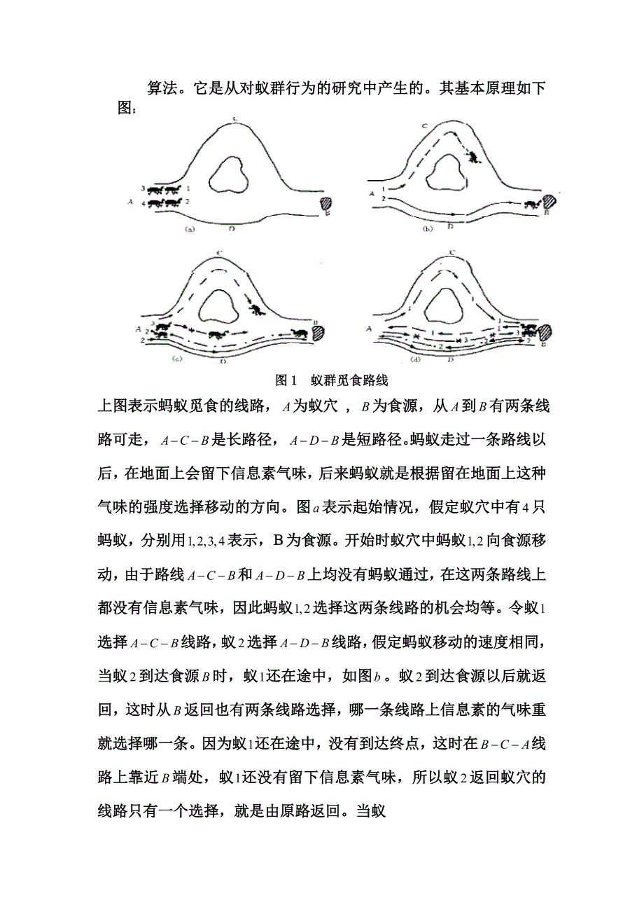 （推荐）数学建模之智能计算_第2页