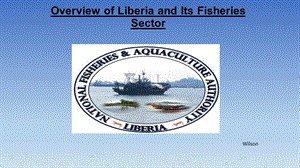 利比里亚国家情况报告英文版Liberia Presentation（Situation introduction）