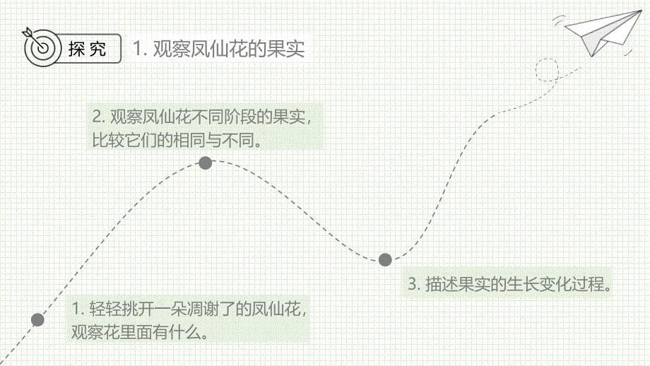 教科版科学四年级下册《1.6 果实和种子》课件_第5页