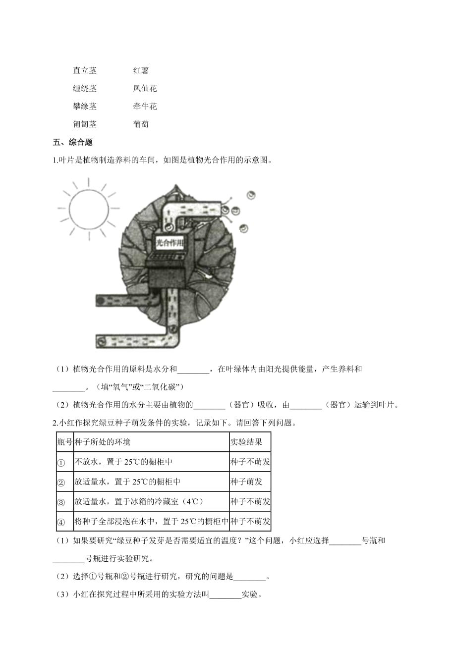 教科版四年级科学下册1.4《茎和叶》练习_第2页