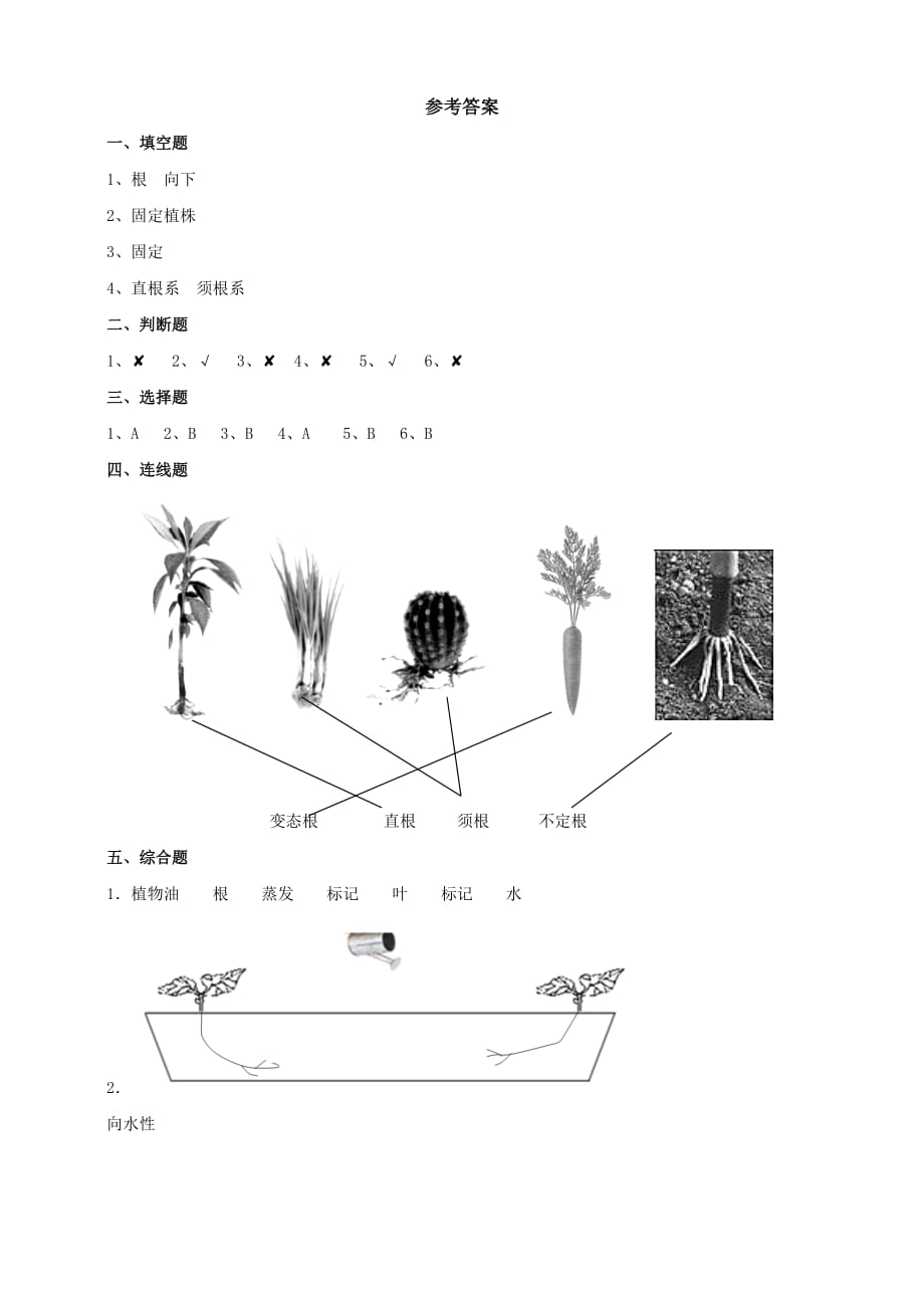 教科版四年级科学下册 1.3《种子长出了根》作业设计_第4页