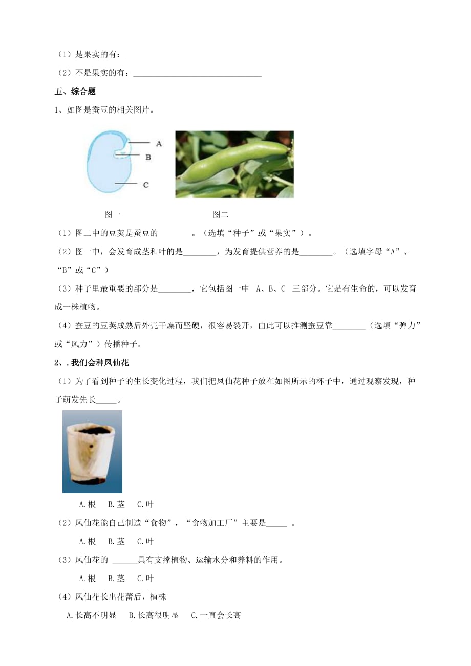 教科版四年级科学下册1.6《果实和种子》作业设计_第2页