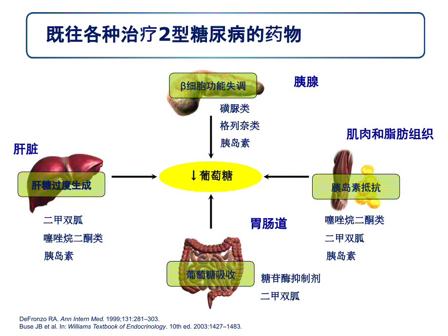 治疗2型糖尿病的新视野_第4页