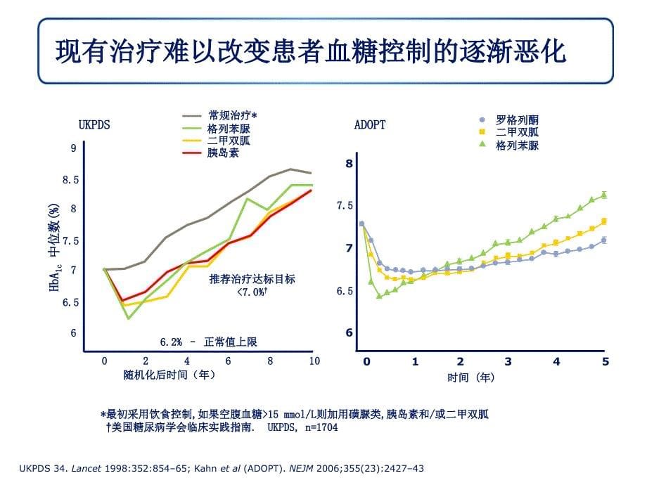 治疗2型糖尿病的新视野_第5页