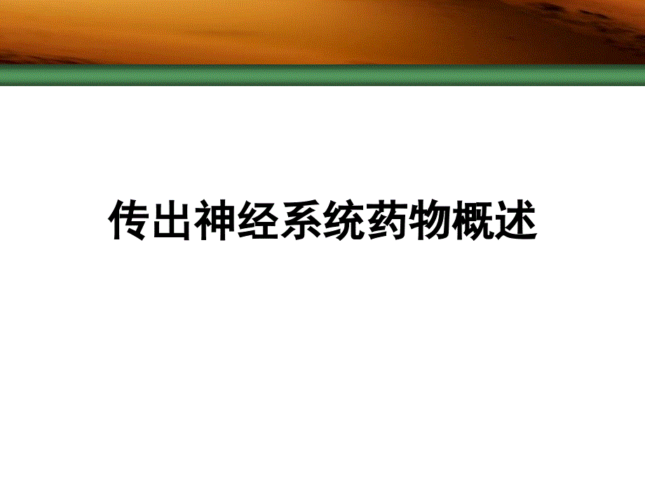 药理学传出神经系统概述_第1页