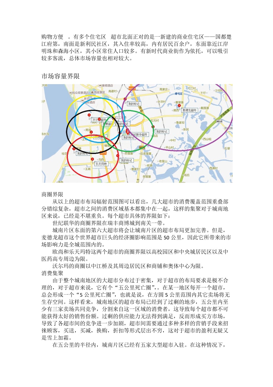 芜湖城南超市经营现状及布局分析_第3页