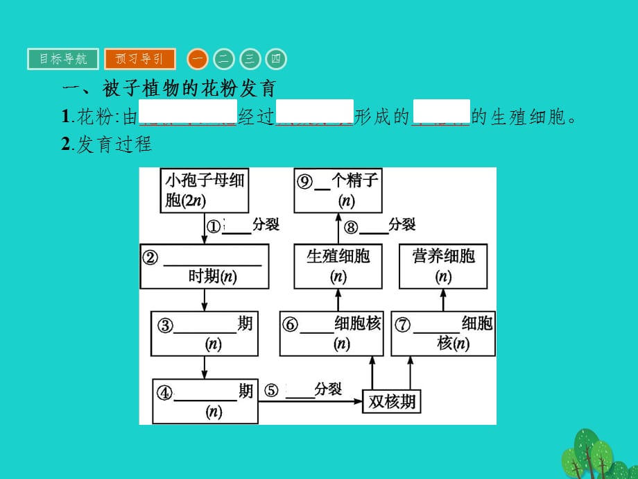 高中生物 专题3 植物的组织培养技术 课题2 月季的花药培养 新人教版选修11_第3页