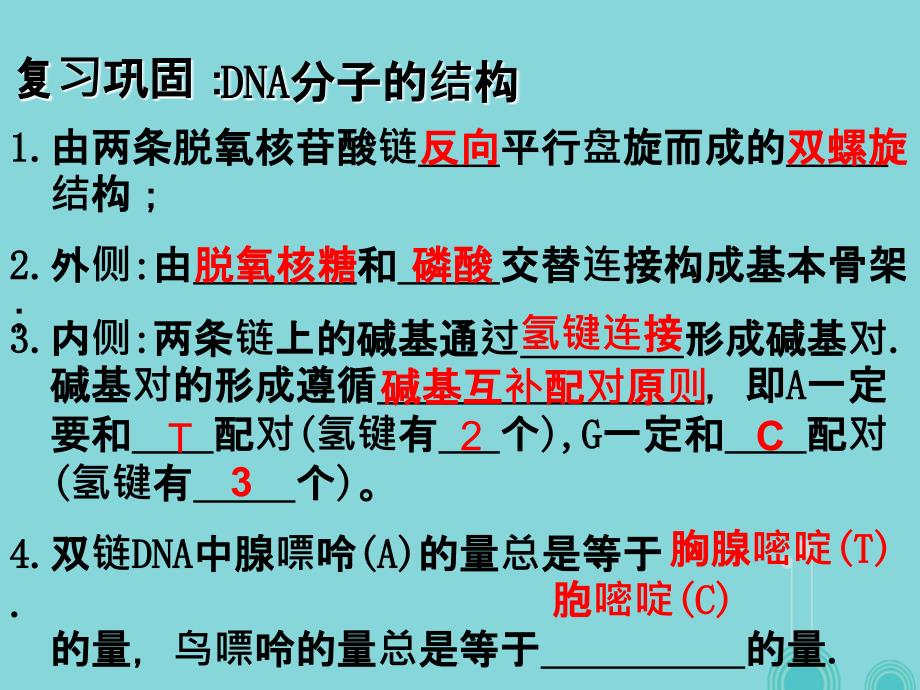高中生物 3_3 DNA的复制 新人教版必修21_第1页
