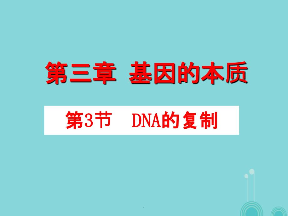 高中生物 3_3 DNA的复制 新人教版必修21_第2页