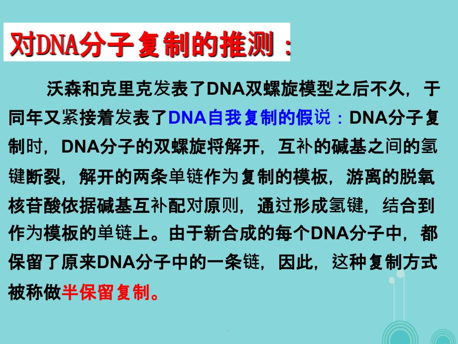 高中生物 3_3 DNA的复制 新人教版必修21_第3页