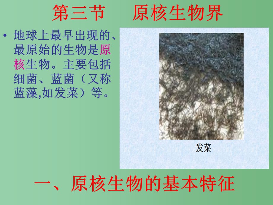 八年级生物下册 13.2 原核生物界2 北京版_第1页