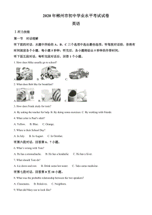2020年湖南省郴州市中考英语试题（教师版含解析）