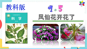 教科版科学四年级下册1.5《凤仙花开花了》课件