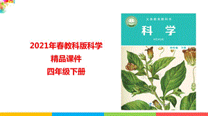 教科版四年级科学下册《1.8凤仙花的一生》课件